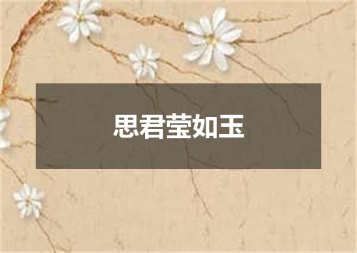 思君莹如玉