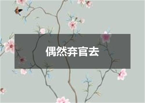 偶然弃官去