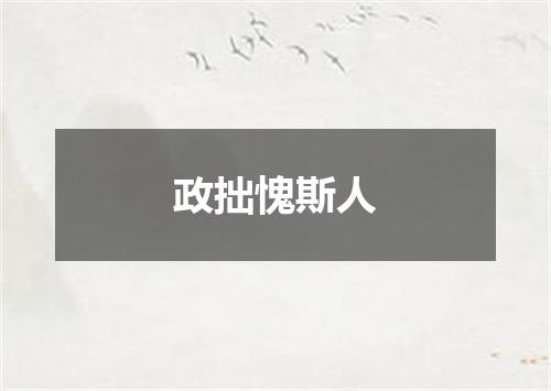 政拙愧斯人