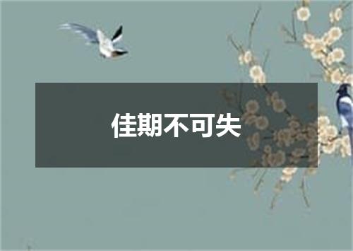 佳期不可失