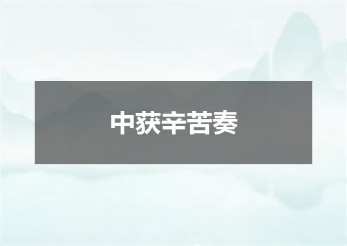 中获辛苦奏