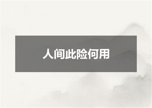 人间此险何用