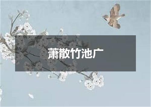 萧散竹池广