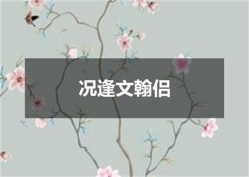 况逢文翰侣