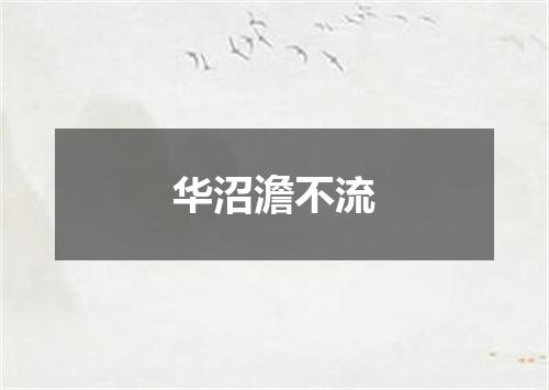 华沼澹不流