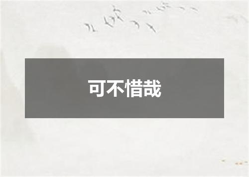 可不惜哉