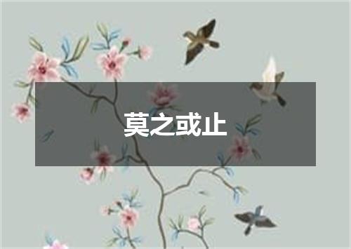 莫之或止
