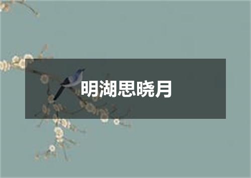 明湖思晓月
