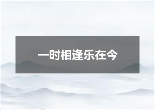 一时相逢乐在今