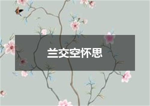 兰交空怀思