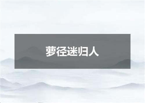 萝径迷归人