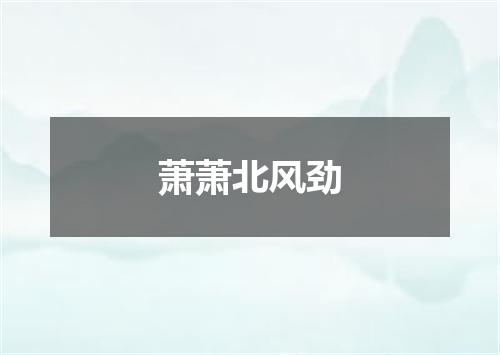萧萧北风劲