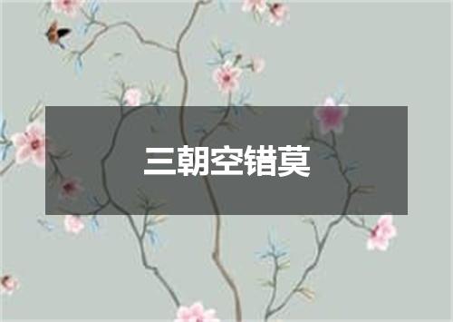 三朝空错莫