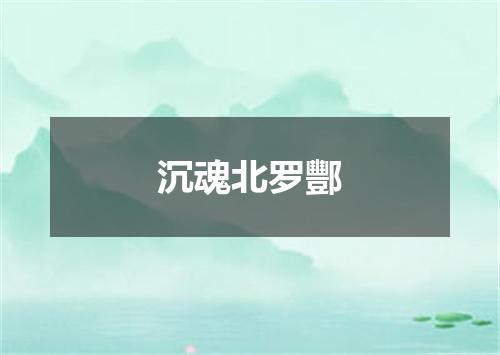 沉魂北罗酆