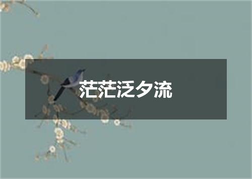 茫茫泛夕流