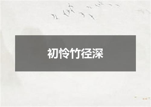 初怜竹径深