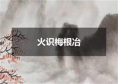 火识梅根冶