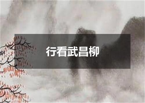行看武昌柳