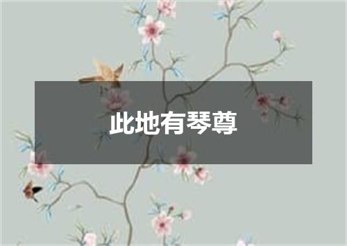此地有琴尊