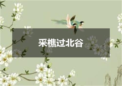 采樵过北谷