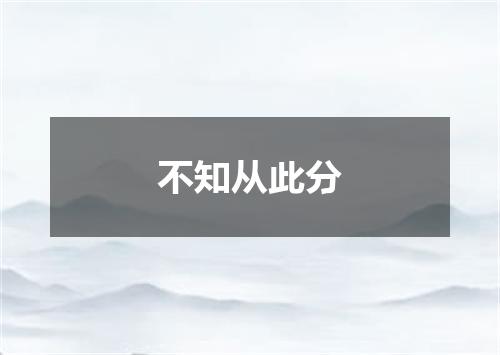 不知从此分