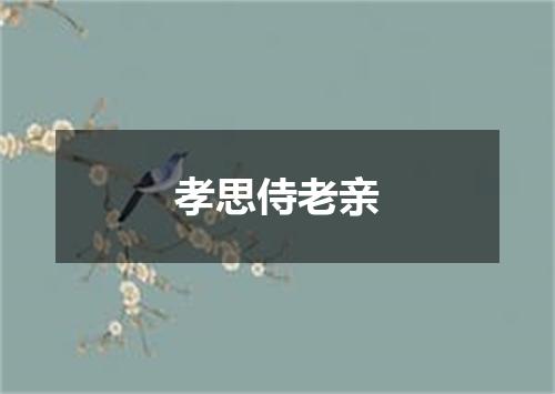 孝思侍老亲