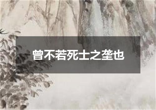 曾不若死士之垄也