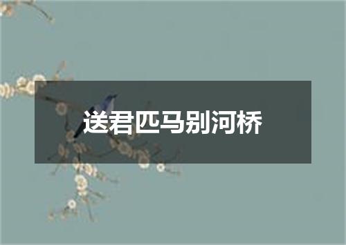 送君匹马别河桥