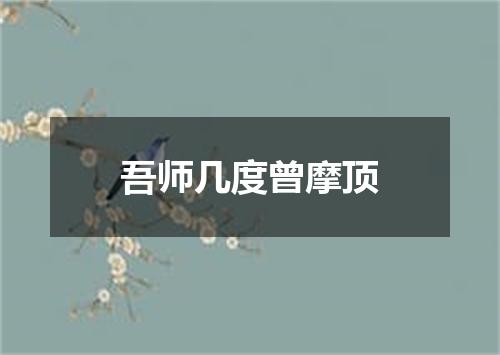 吾师几度曾摩顶