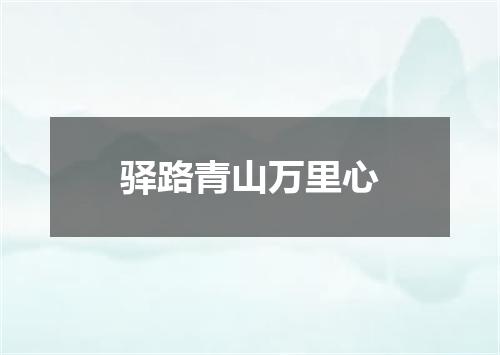 驿路青山万里心
