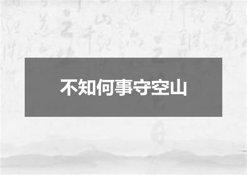 不知何事守空山
