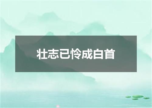 壮志已怜成白首
