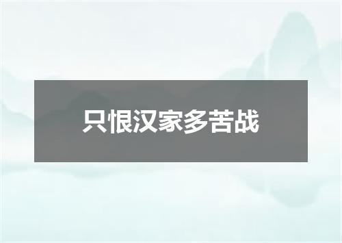 只恨汉家多苦战