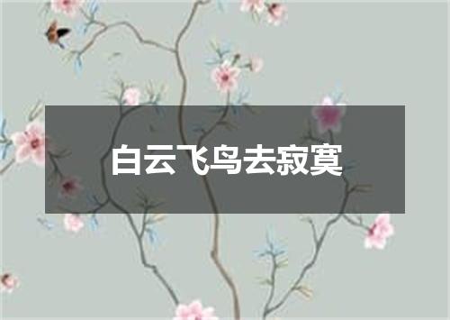 白云飞鸟去寂寞