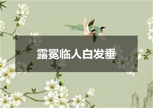 露冕临人白发垂