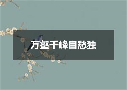 万壑千峰自愁独
