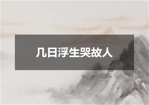 几日浮生哭故人