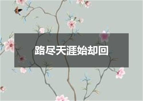 路尽天涯始却回