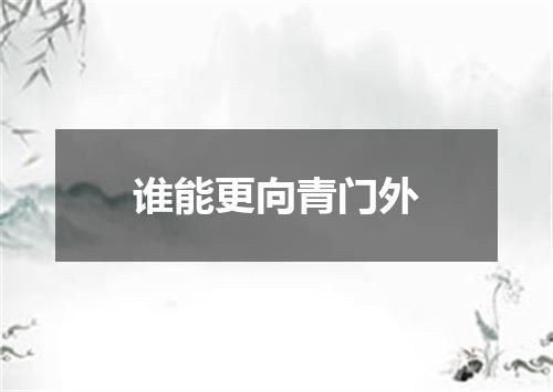 谁能更向青门外