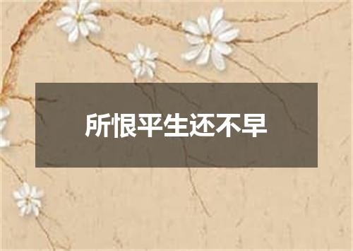所恨平生还不早