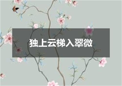独上云梯入翠微