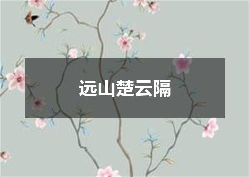 远山楚云隔