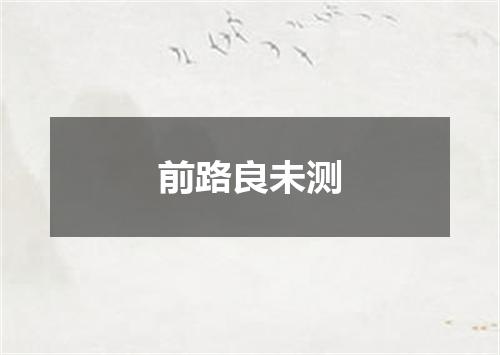 前路良未测
