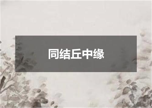 同结丘中缘