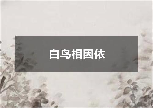 白鸟相因依