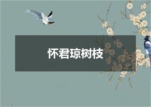 怀君琼树枝