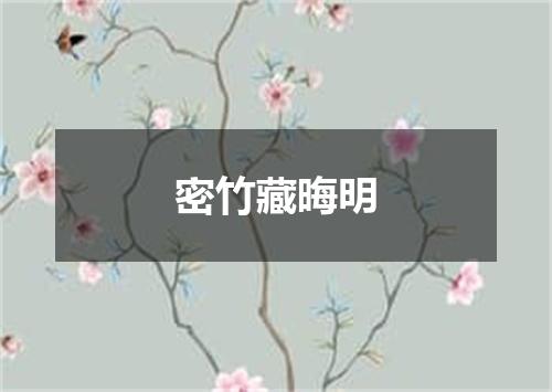 密竹藏晦明