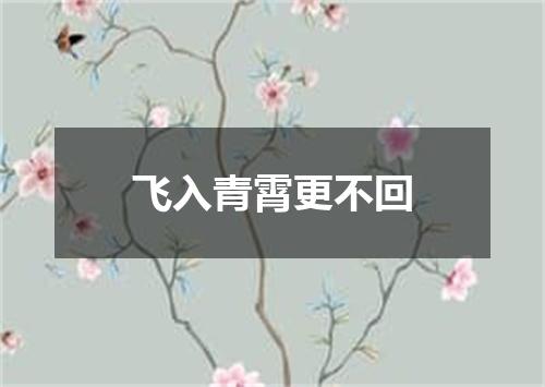 飞入青霄更不回