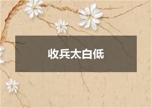 收兵太白低