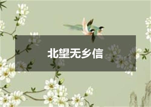 北望无乡信